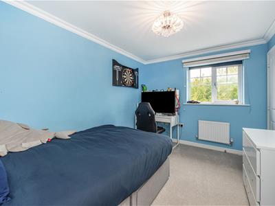 Picture 29